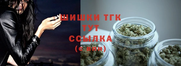 apvp Верея