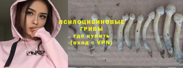 mdpv Бугульма