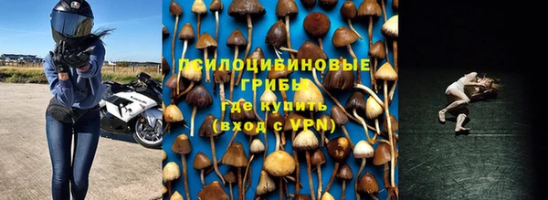 гашик Белоозёрский
