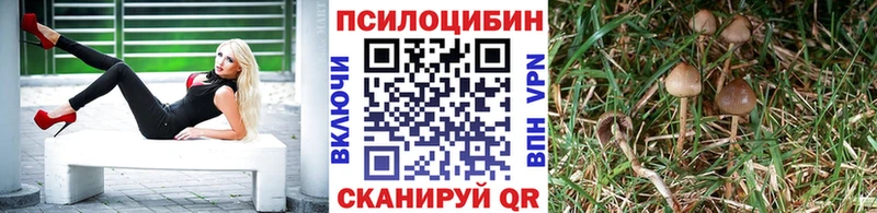 Псилоцибиновые грибы Cubensis  дарнет шоп  Бахчисарай 